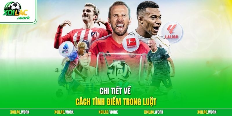 Chi tiết về cách tính điểm trong luật