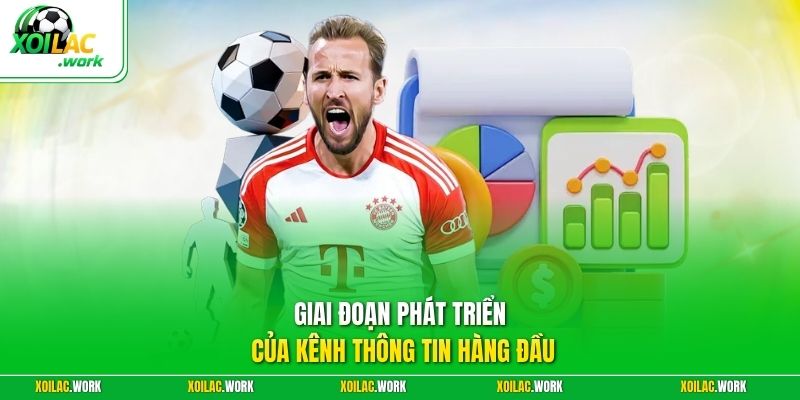 Giai đoạn phát triển của kênh thông tin hàng đầu