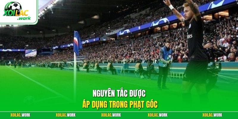 Nguyên tắc được áp dụng trong phạt góc