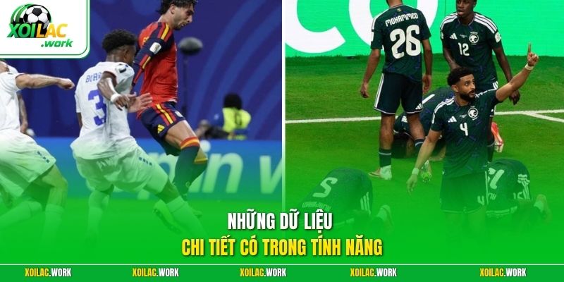 Những dữ liệu chi tiết có trong tính năng