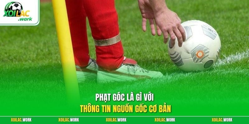 Phạt góc là gì với thông tin nguồn gốc cơ bản