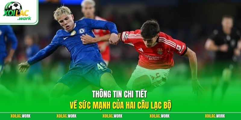 Thông tin chi tiết về sức mạnh của hai câu lạc bộ